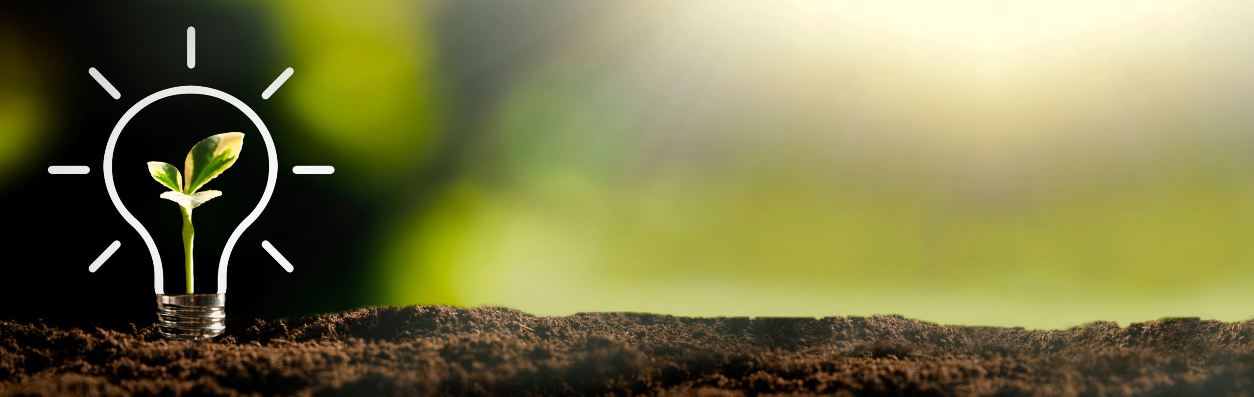 klenke-druck_nachhaltigkeit-header2-1-scaled